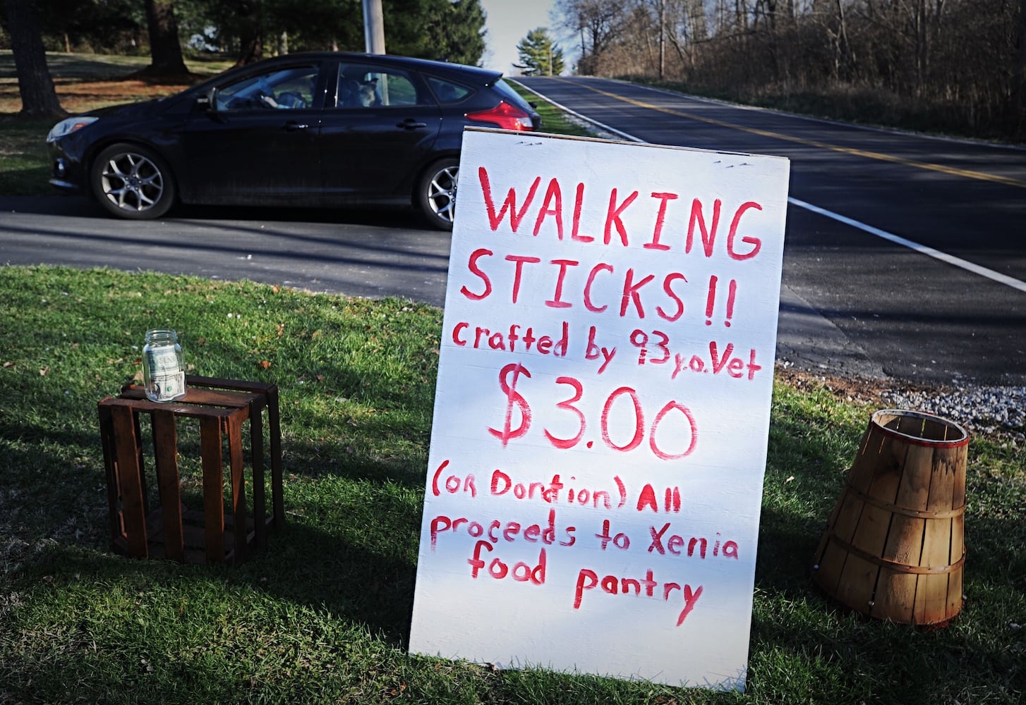 vet walking sticks