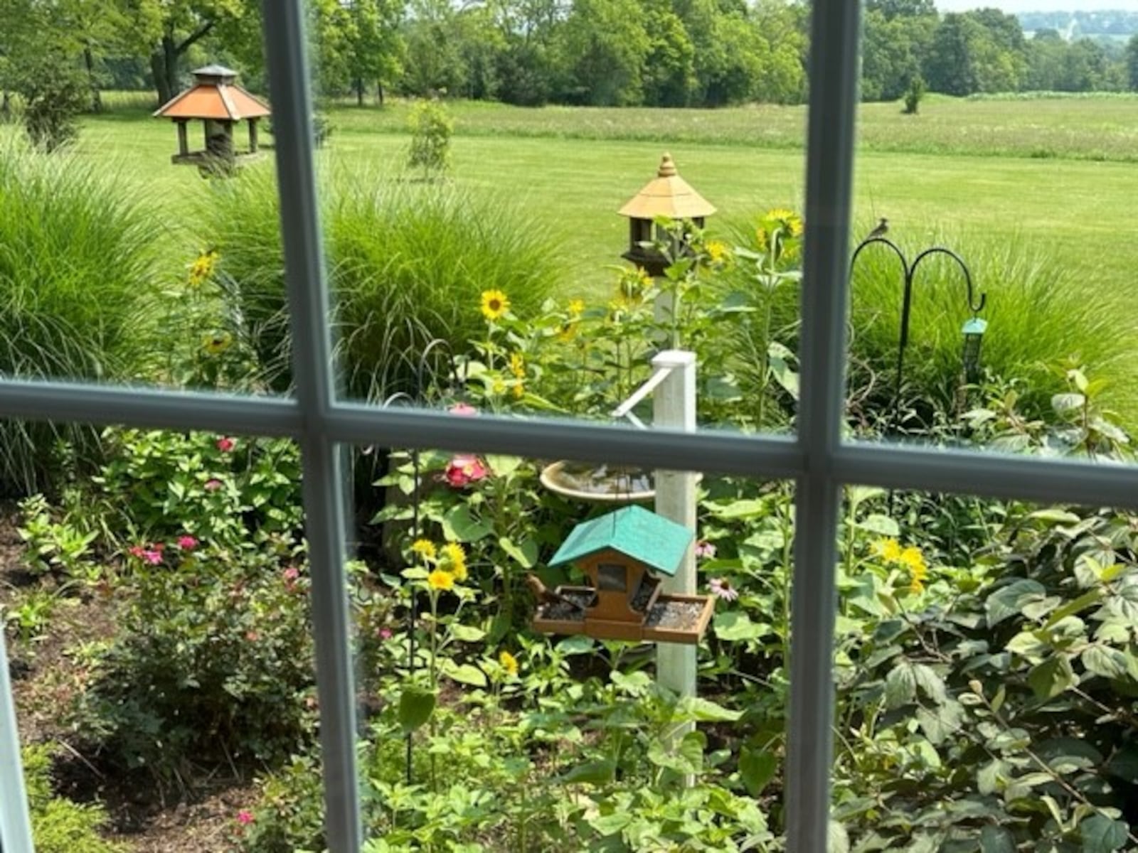 A lush landscape of flowers, bird feeders and more can be seen from this window in the family room, according to Leslie Josephson.