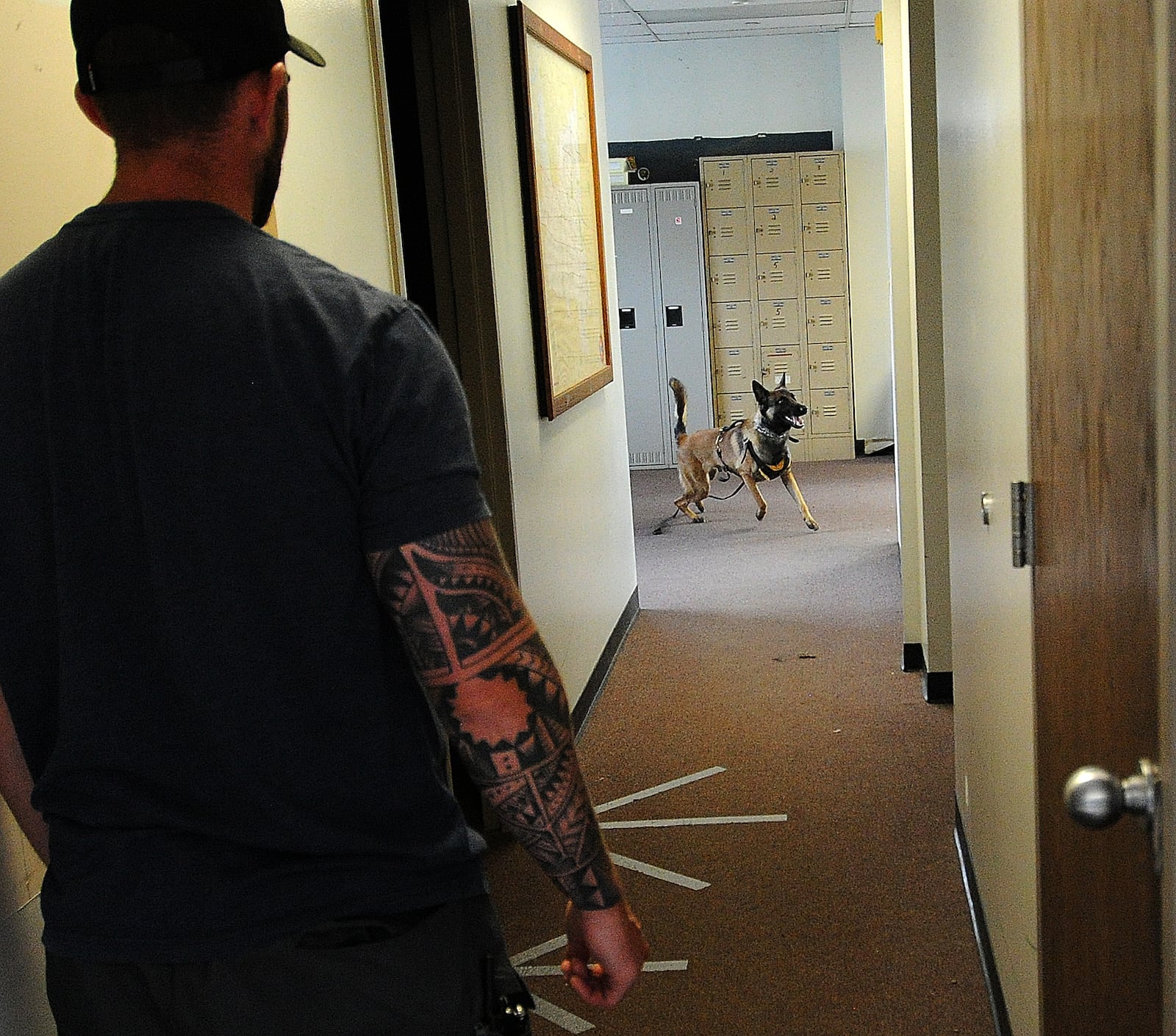 Hamilton police Officer Wyatt Arnold sends K-9 Stryder into a building searching for a hiding suspect during an training exercise Thursday in Kettering. The dog is evaluated by a Kettering officer on how the handler and K-9 react. Kettering police is training several K-9s in the area for free so that there is a standardized level of training for the dogs and handlers. The 12-week course ends June 30 with an evaluation by the Ohio Peace Officers Training Academy. If they pass the evaluation, the dog will receive state K-9 certification. MARSHALL GORBY\STAFF