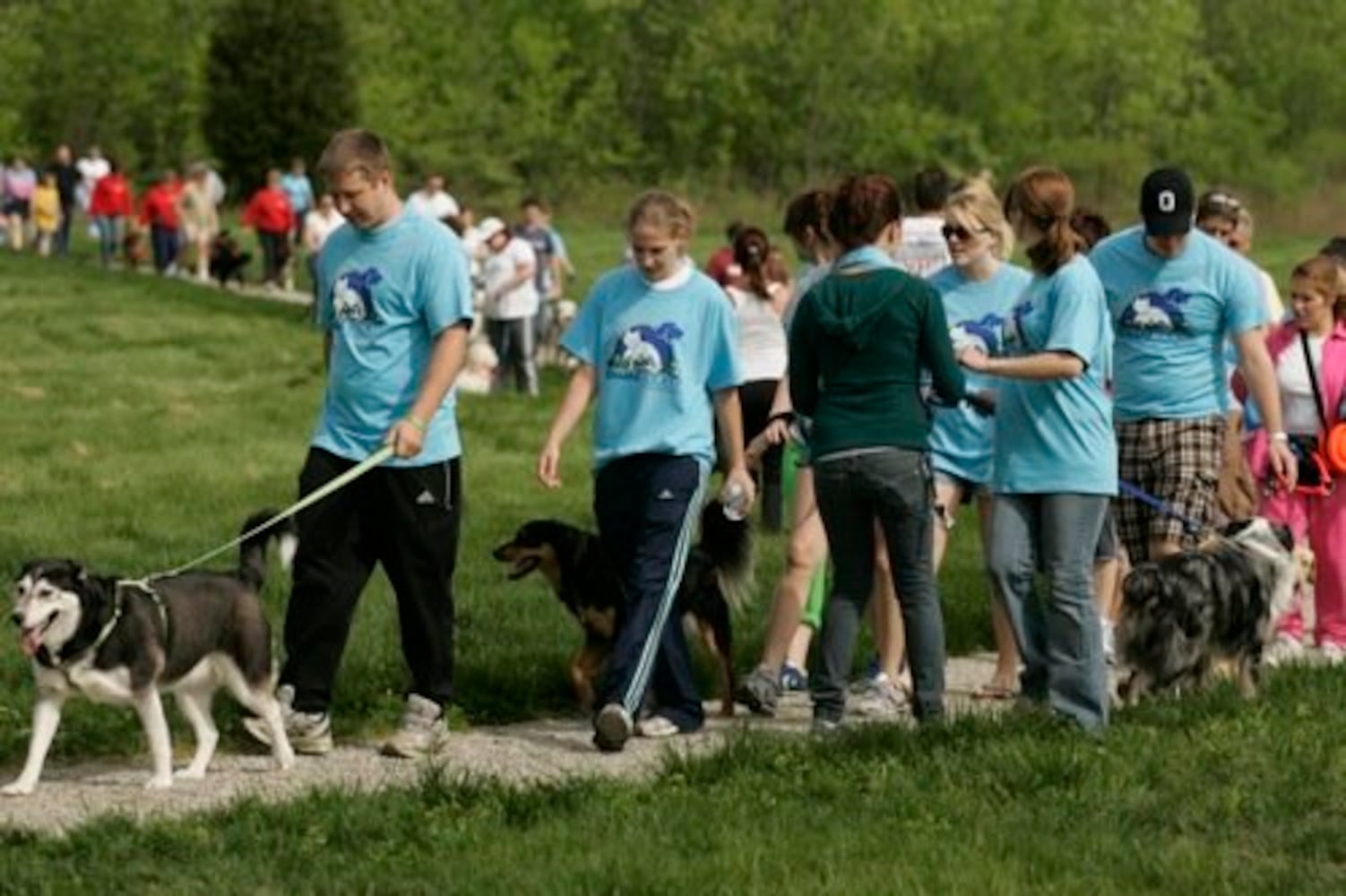 Furry Scurry walk