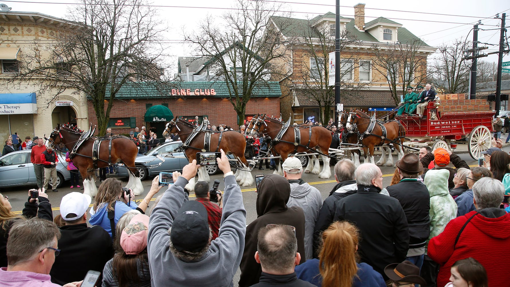 PHOTOS: The Budweiser Clydesdales are in Dayton