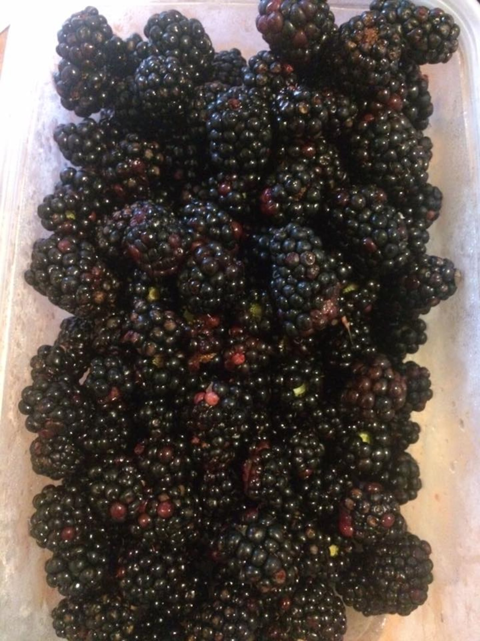 Folck Winery founder Robert Folck said he will make wine out of estate-grown fruit, including strawberries and blackberries. Photo from Folck Family Farm Facebook page.