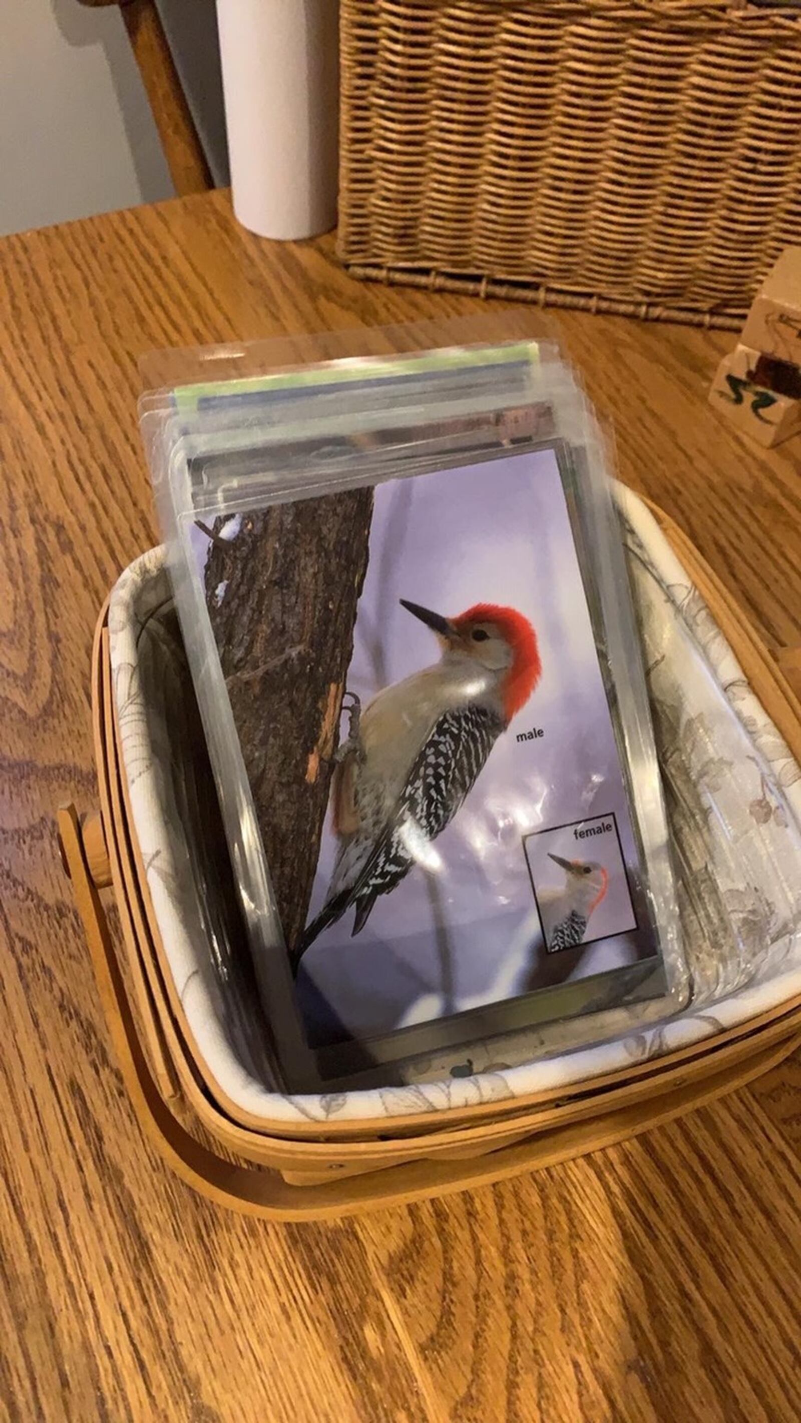 Bird watching ID cards from Debi Starr of Hilliard. She uses them with her grandchildren to find and identify birds. CONTRIBUTED