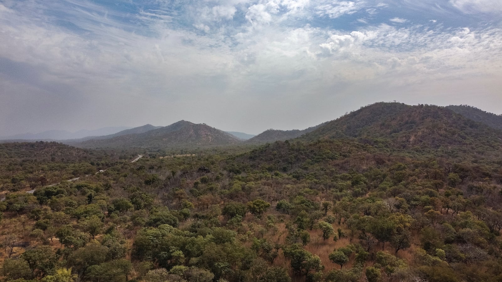 Trees cover Senegal's Niokolo Koba National Park on Thursday, Jan. 16, 2025. (AP Photo/Annika Hammerschlag)