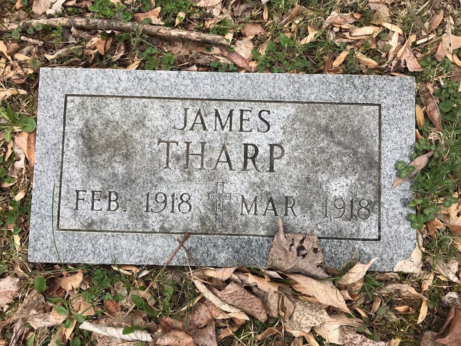 Gravestone of James Tharp at Woodland Cemetery. Tom Archdeacon/STAFF