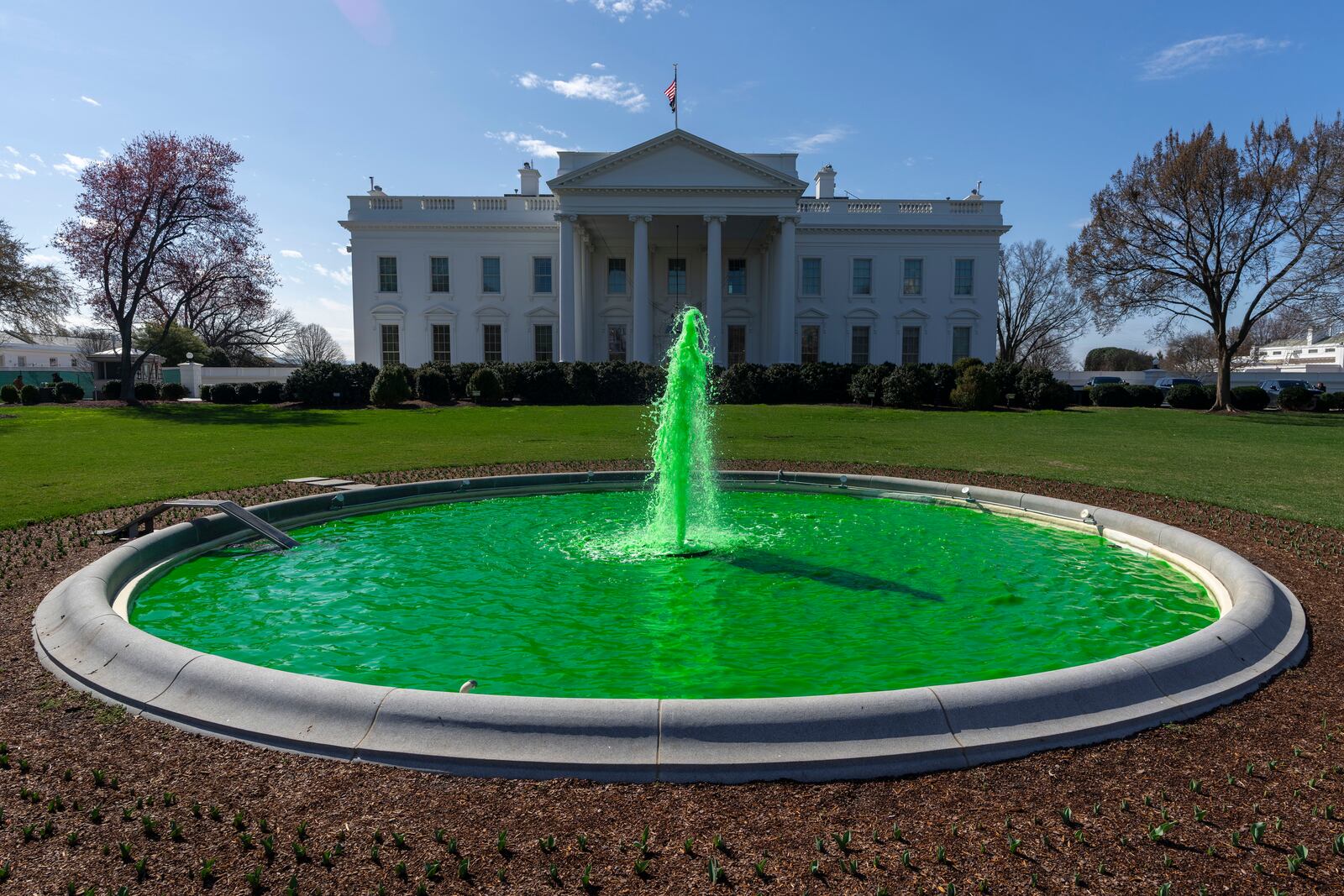 The fountain on the North Lawn of the White House is dyed green for St. Patrick's Day in Washington, Monday, March 17, 2025. (AP Photo/Ben Curtis)