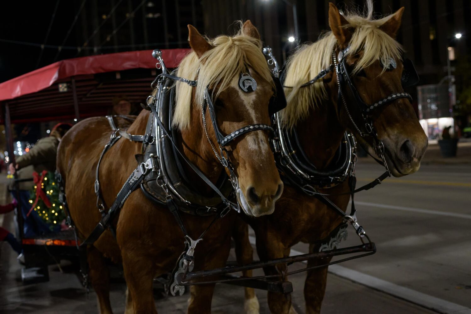 PHOTOS: Did we spot you at the Dayton Holiday Festival in downtown Dayton?