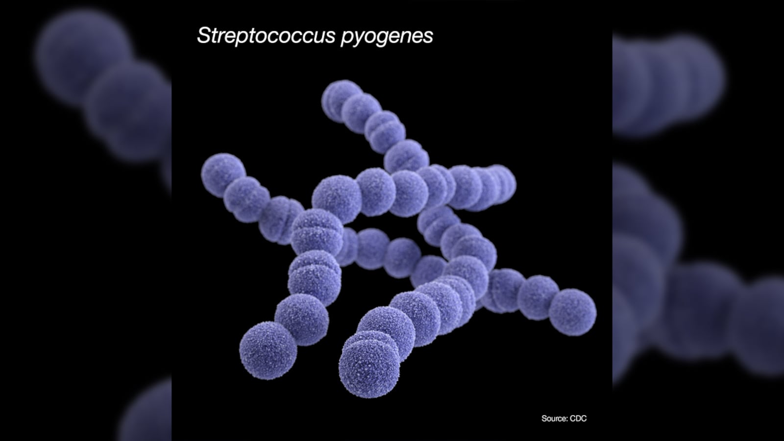 This illustration depicts a three-dimensional (3D) computer-generated image of a group of Gram-positive, Streptococcus pyogenes (group A Streptococcus) bacteria. The artistic recreation was based upon scanning electron microscopic (SEM) imagery.