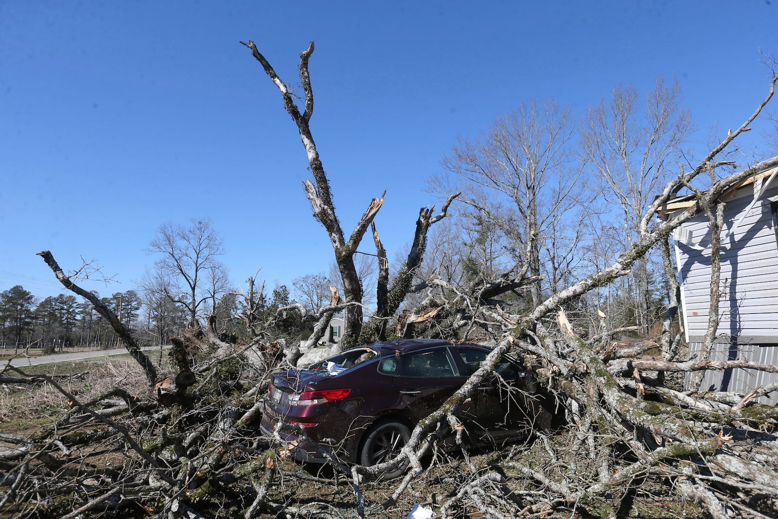 A car sits destroyed under the debris of a tree from severe weather along Lee County Rd 154 in Shannon, Miss. ,Monday, Feb. 17, 2025. (Thomas Wells/The Northeast Mississippi Daily Journal via AP)