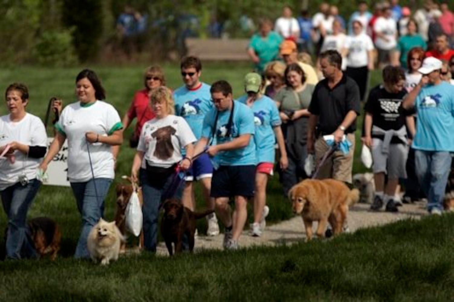 Furry Scurry walk