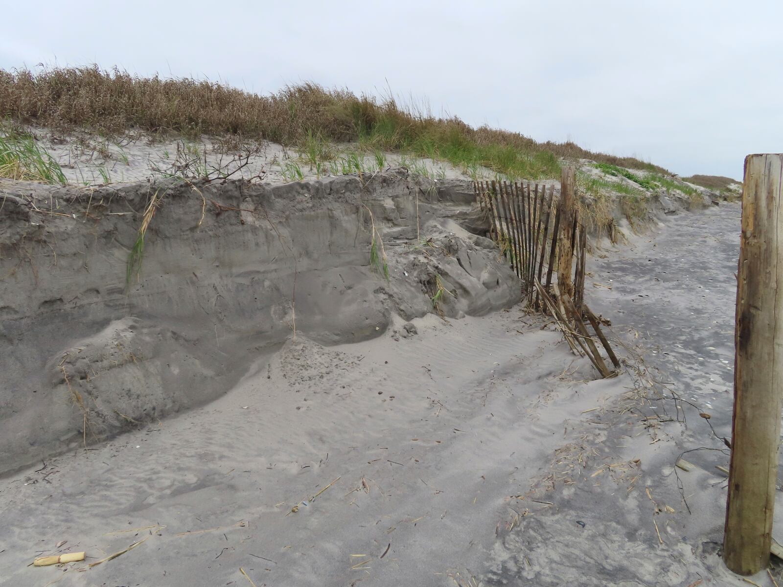 An undeveloped stretch of beach is seen on May 11, 2022, in Brigantine, N.J., where opponents of offshore wind projects worry about adverse affects from construction and operation of the ocean-based turbines. (AP Photo/Wayne Parry)