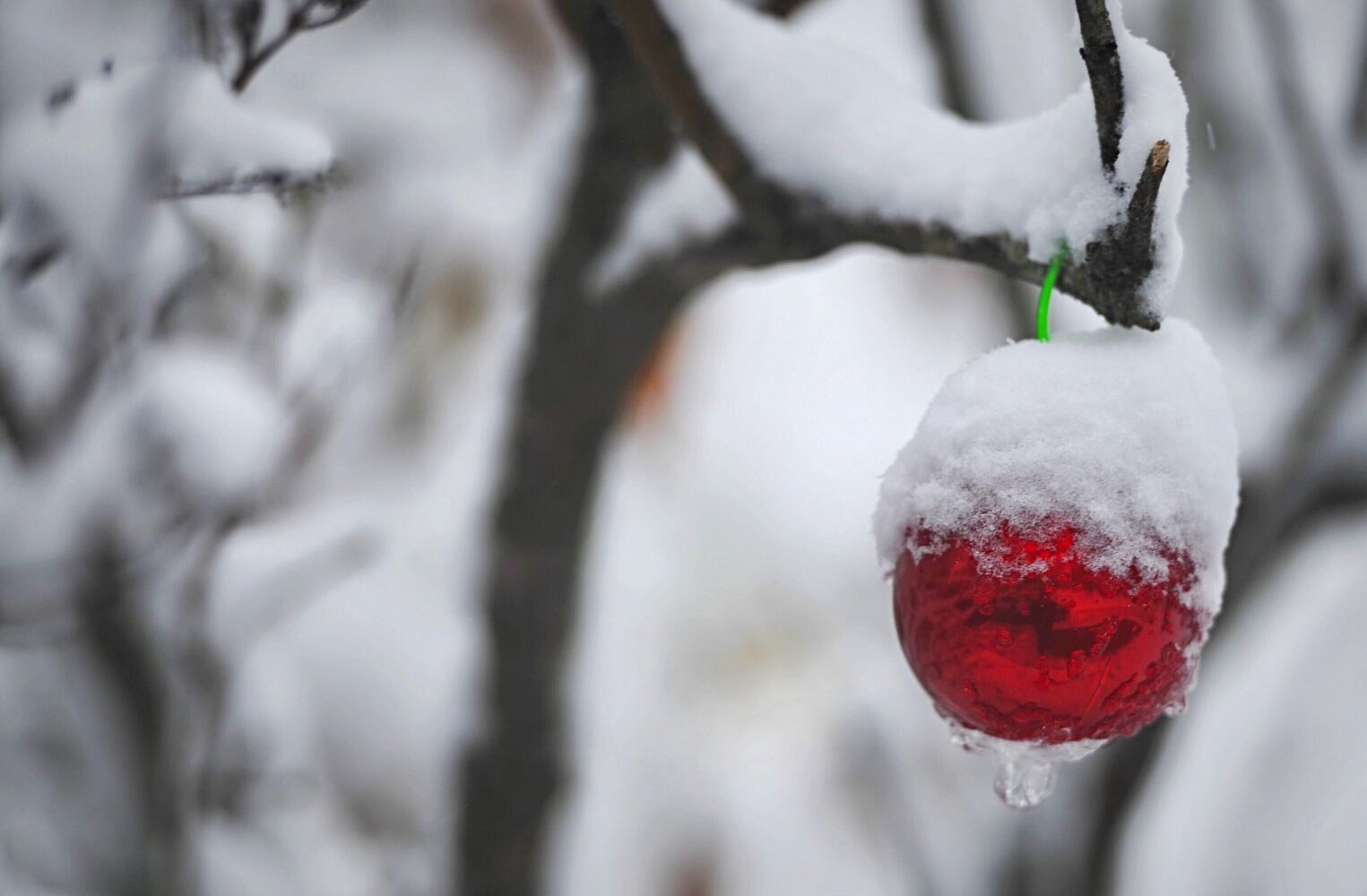 PHOTOS: Miami Valley's first snow aftermath