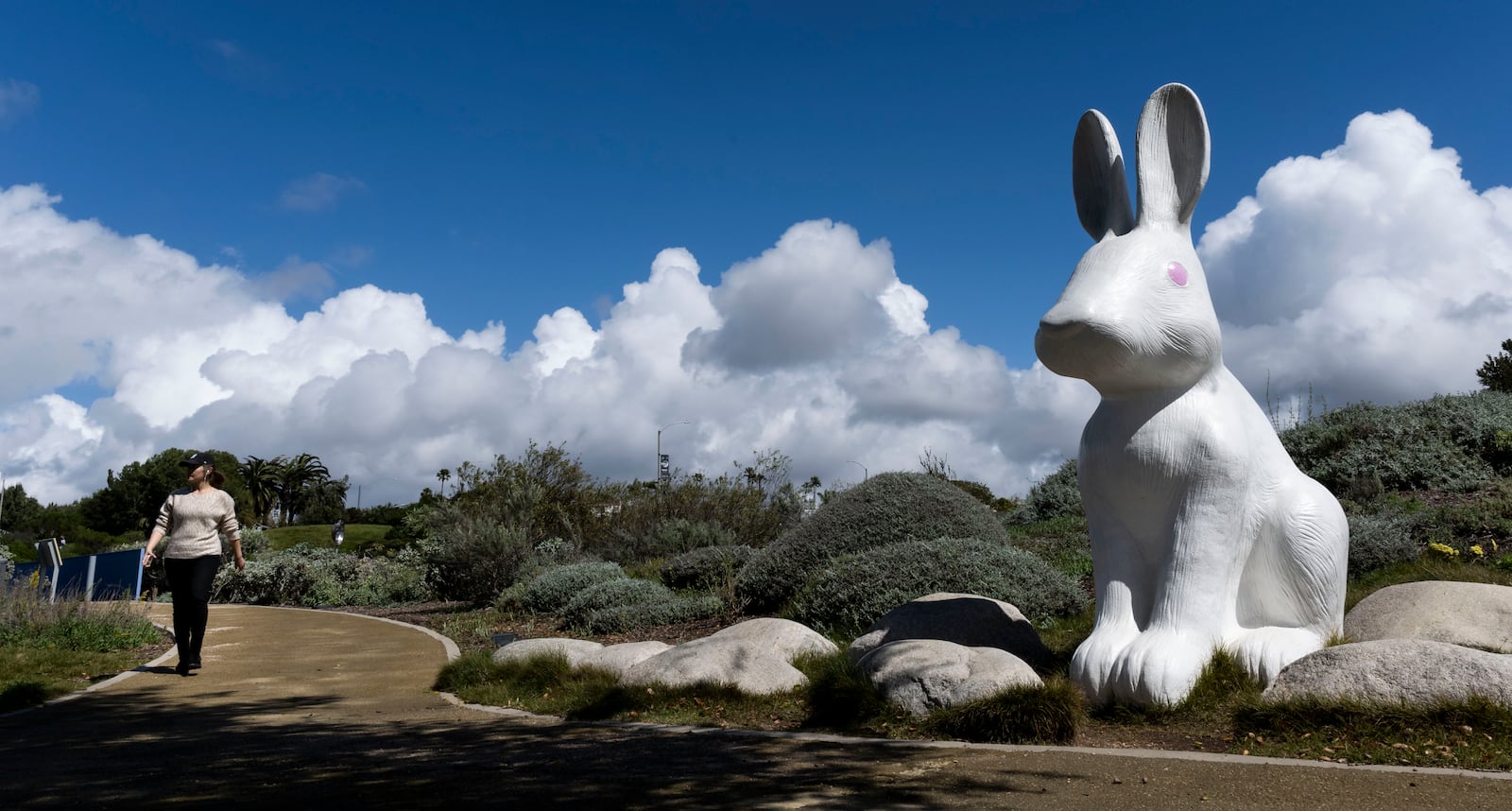 A woman walks the trails at Civic Center Park in Newport Beach, Calif., Thursday, March 13, 2025, after strong storms moved through the region overnight. (Paul Bersebach/The Orange County Register via AP)