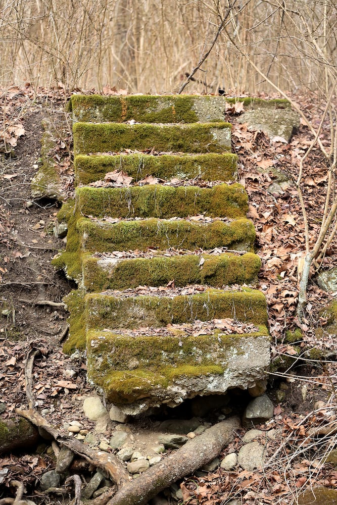 PHOTOS: Long-abandoned amusement park lives on in Possum Creek MetroPark