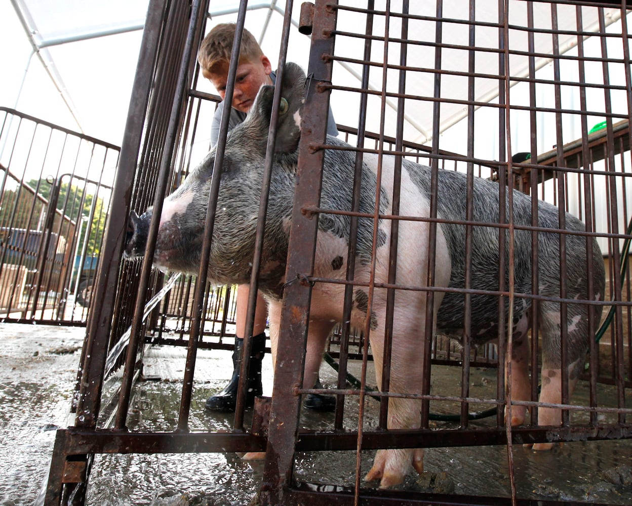 PHOTOS: What we saw at the 2019 Greene County fair