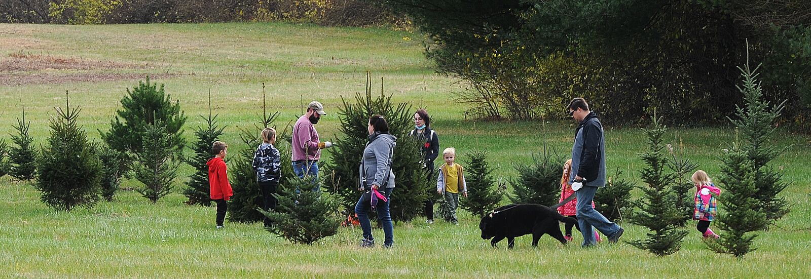 Red Barn Tree Farm on Soldier's Home Miamisburg Road, Miamisburg. Where you can cut down your own Christmas tree.