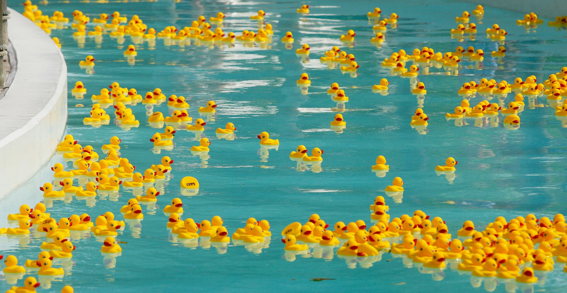 Rubber Duck Regatta history