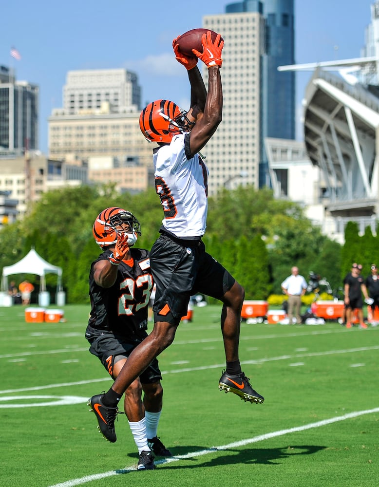 Bengals Training Camp Day 1