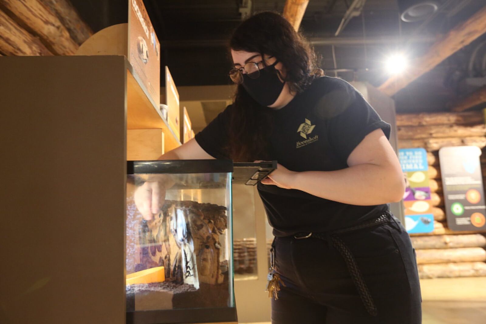 Boonshoft Museum of Discovery reopened June 16. Animal keeper Bailey Cole takes care of an insect exhibit while wearing the face mask required by state rules. LISA POWELL / STAFF