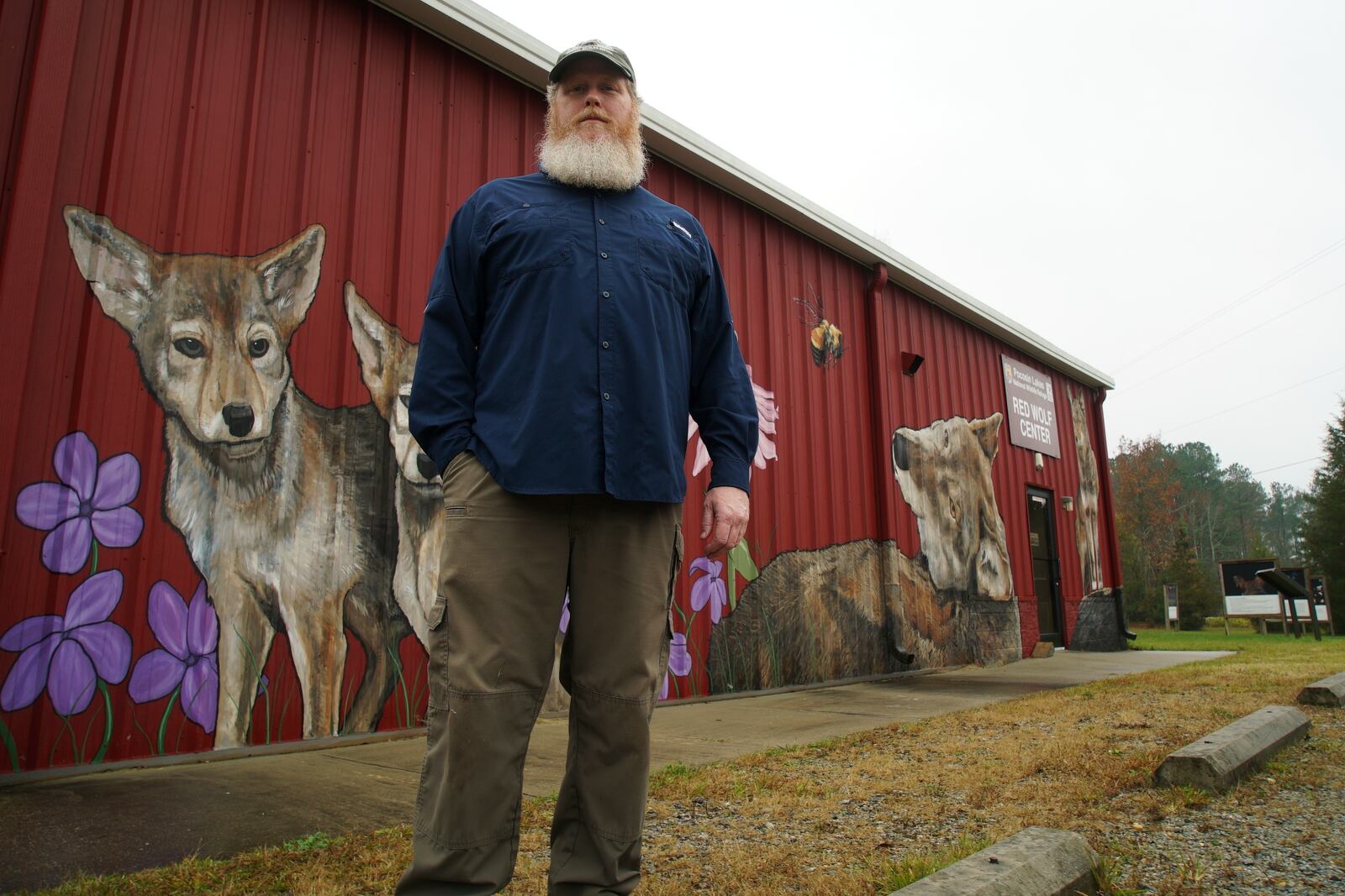 Joe Madison, head of the U.S. Fish and Wildlife's red wolf program, poses for a photo outside the Red Wolf Center in Columbia, N.C., on Wednesday, Nov. 20, 2024. (AP Photo/Allen G. Breed)