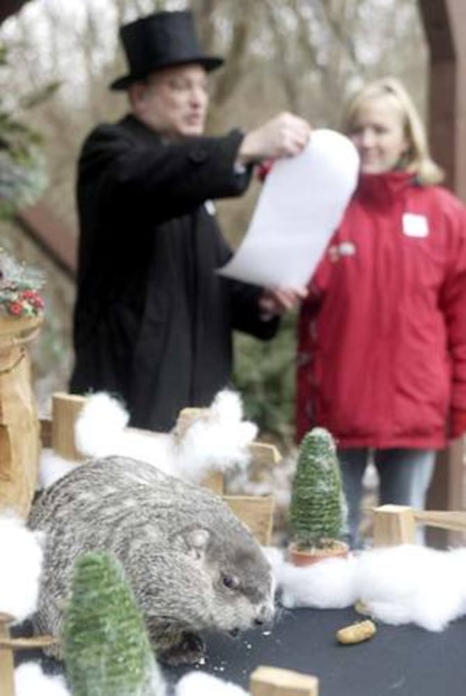 Groundhog predicts spring