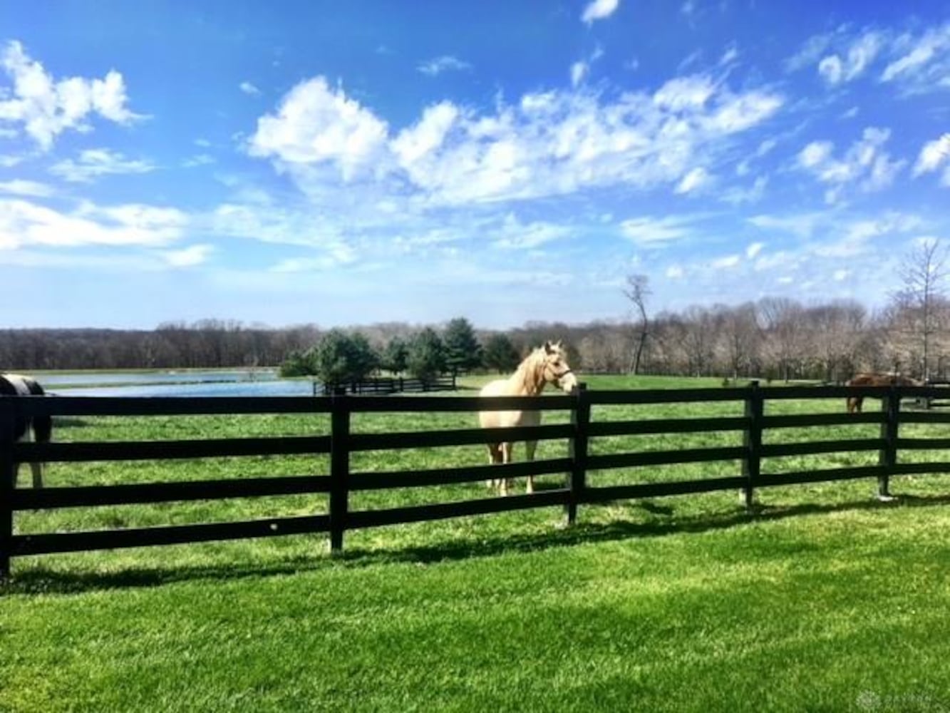 PHOTOS: 226-acre Clarksville home on market for nearly $4M