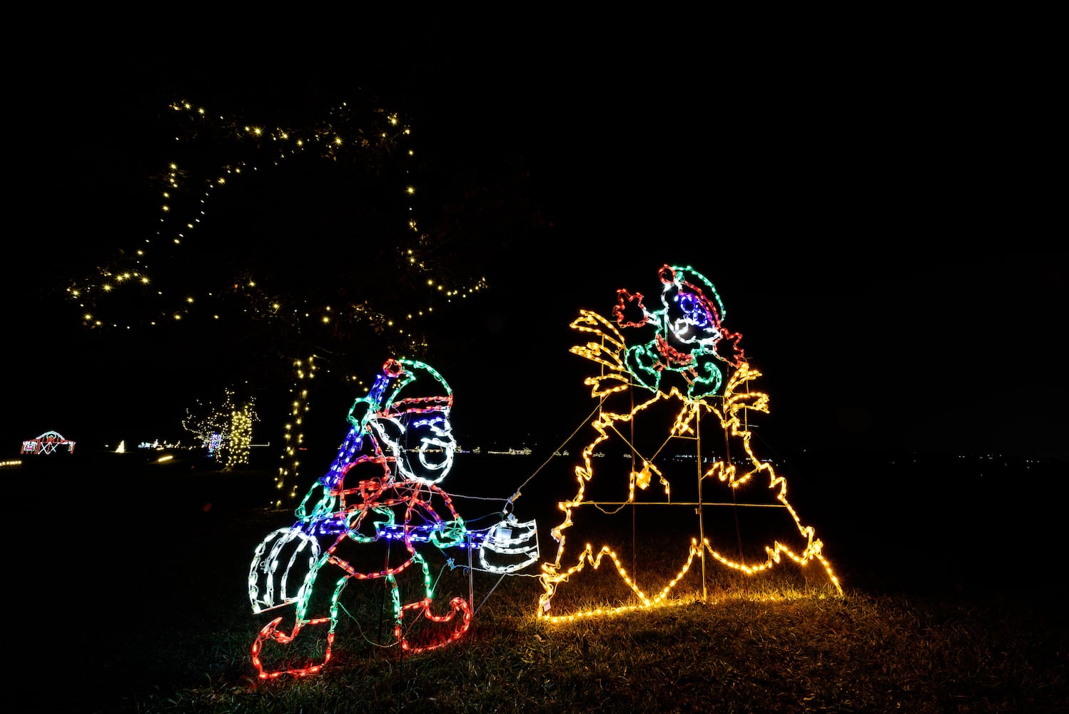 PHOTOS: 2024 Holiday Lights at Lost Creek Reserve in Troy