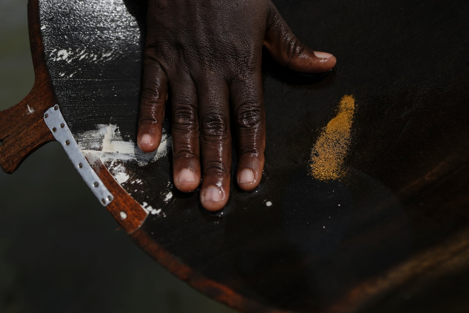 A small-scale miner shows gold grains found at the Atrato River, in Dona Josefa, Colombia, Thursday, Sept. 26, 2024. (AP Photo/Ivan Valencia)