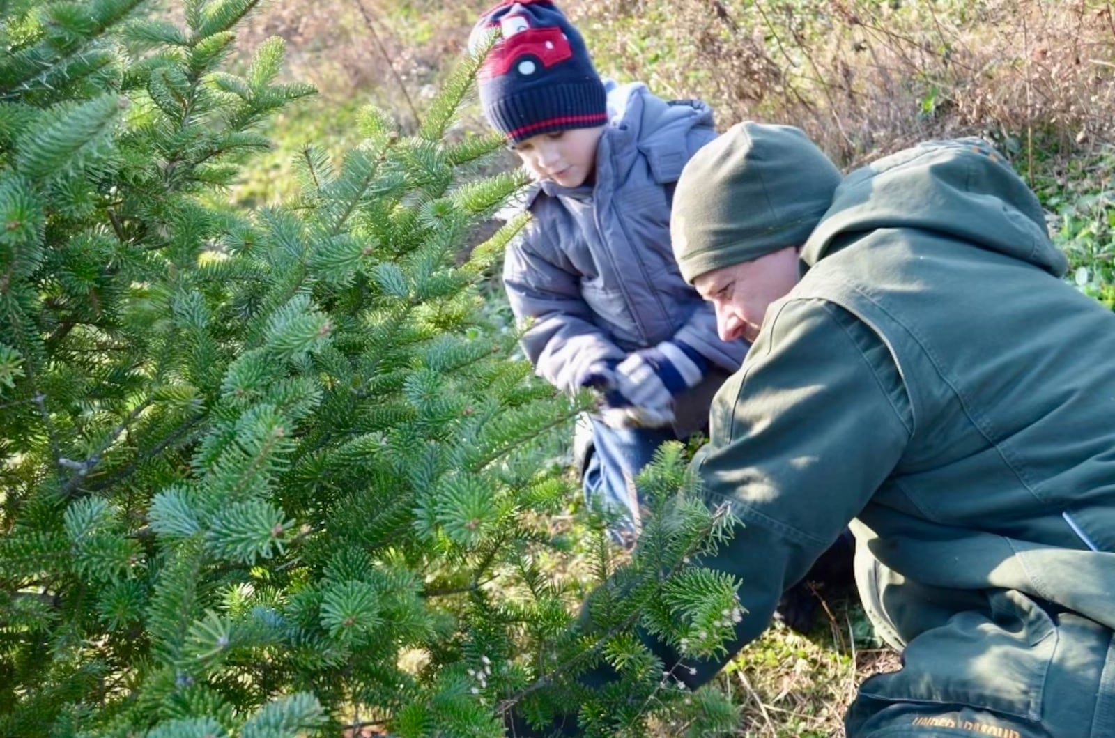 The hunt for the perfect Christmas tree is a holiday tradition for the McKinney family. CONTRIBUTED