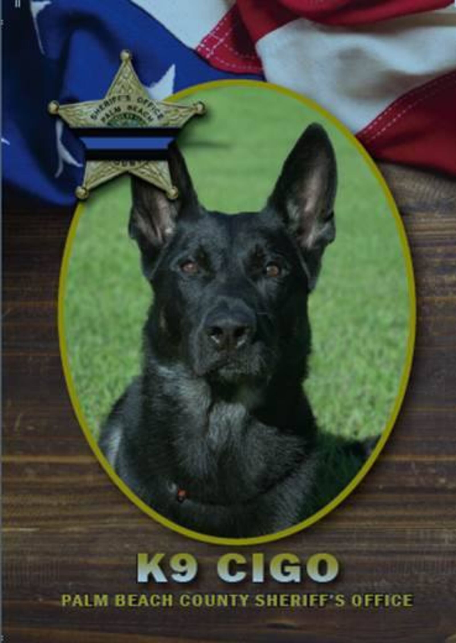 Cigo, a 3-year-old German shepherd, was killed on Christmas Eve.