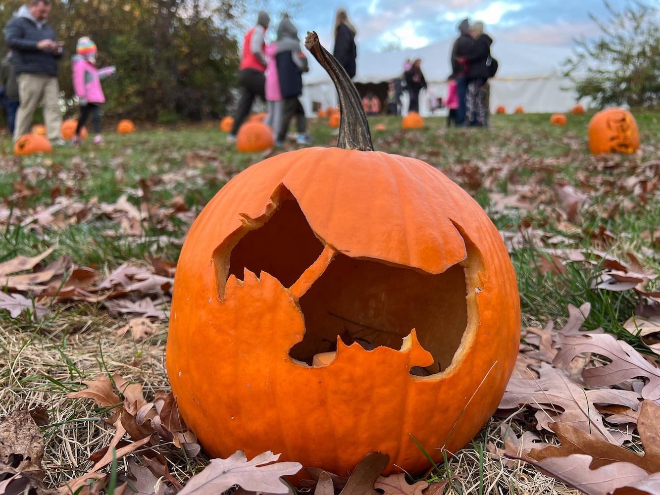 PHOTOS: The Stoddard Avenue Pumpkin Glow Night 1