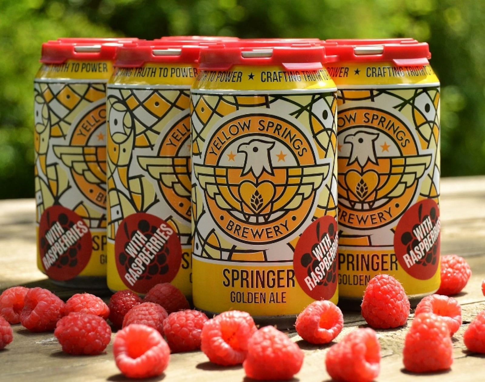 Yellow Springs Brewery's Springer Golden Ale with Raspberries in cans. SUBMITTED