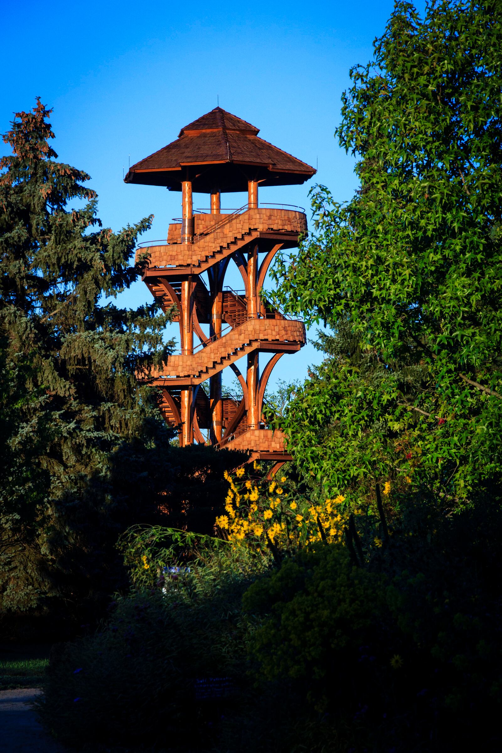 Cox Arboretum MetroPark