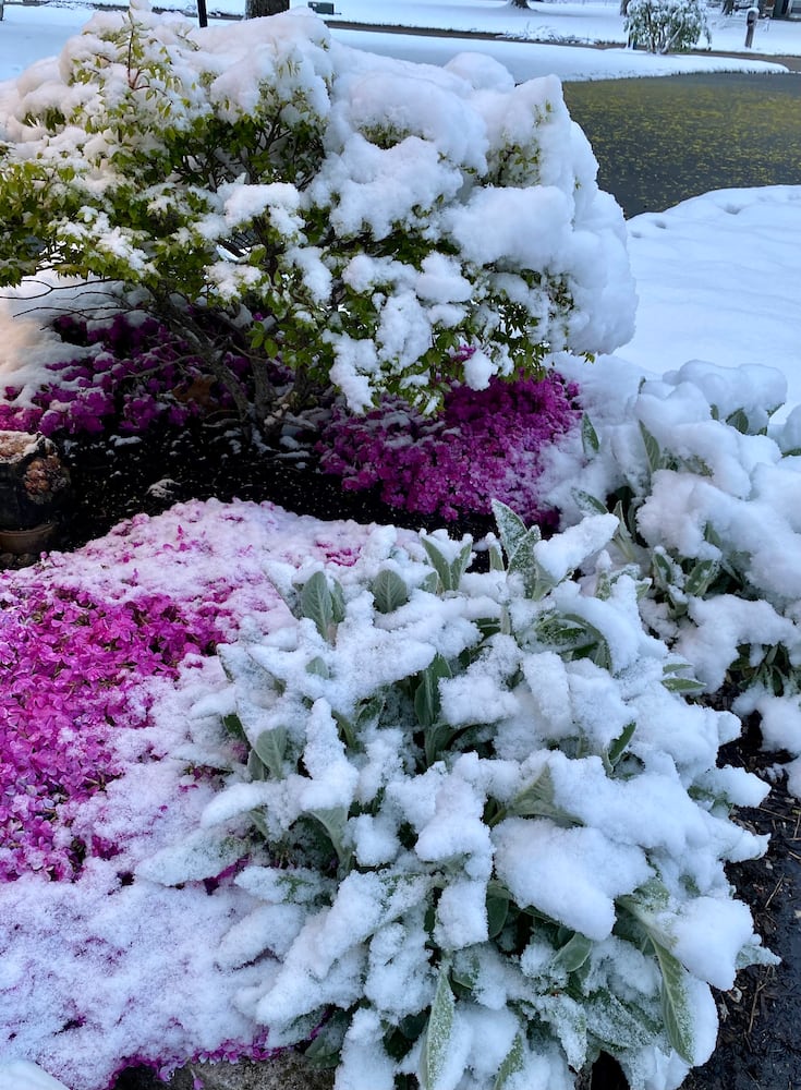 PHOTOS: Snowfall in April in the Miami Valley