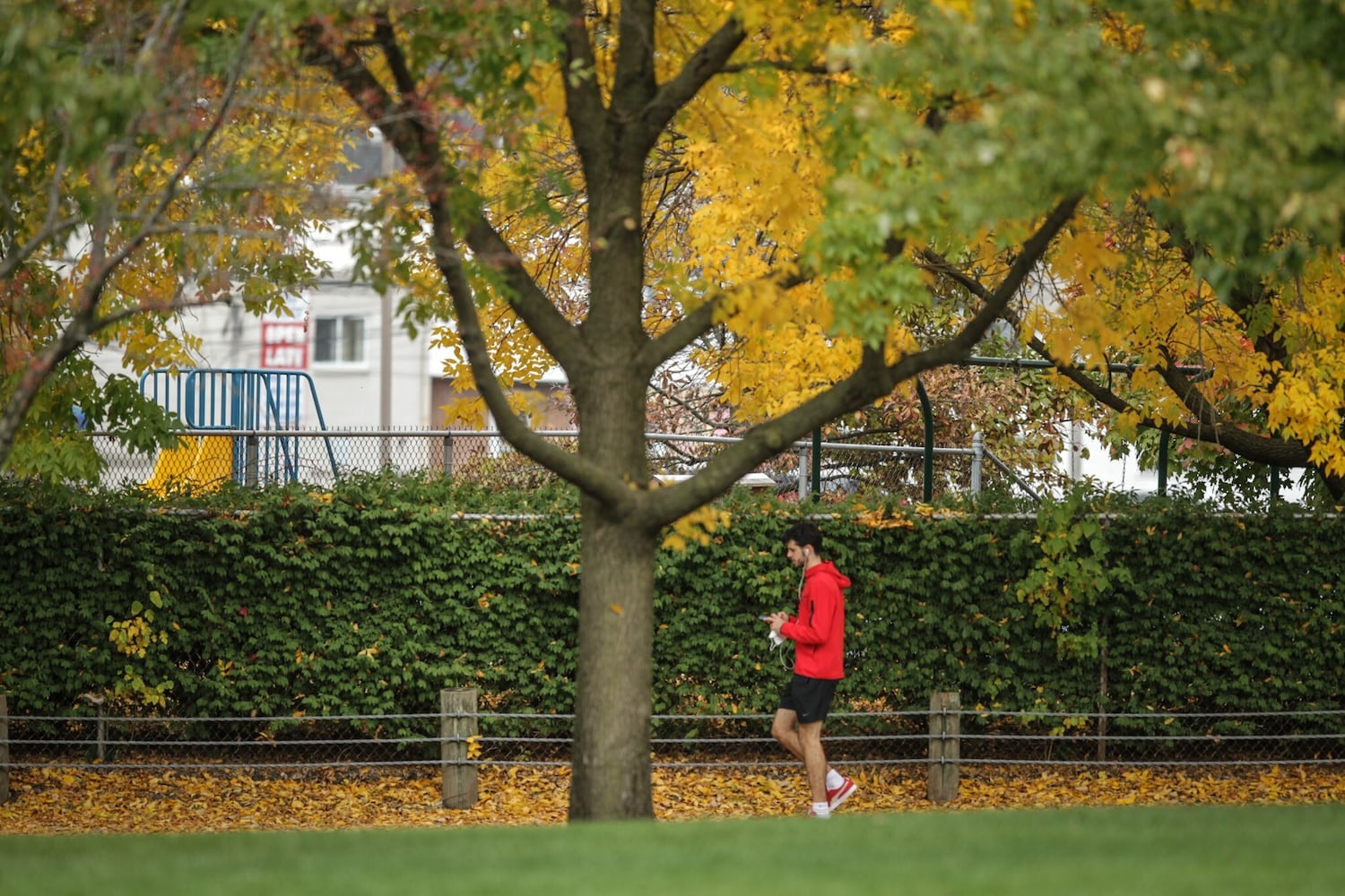 Fall colors paint the Dayton area