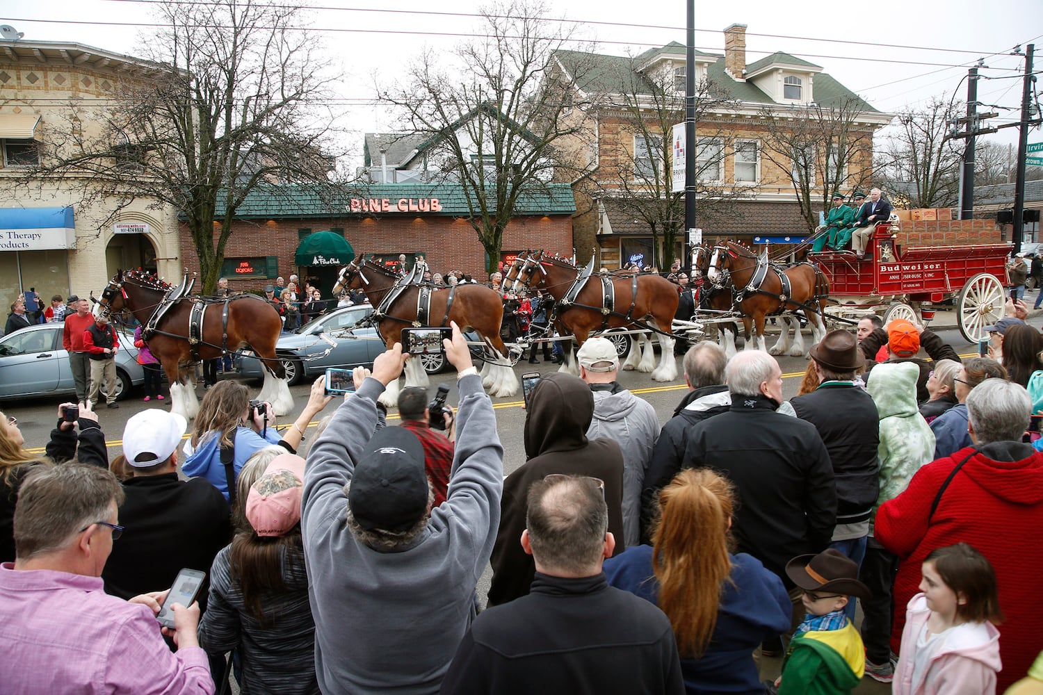 PHOTOS: The Budweiser Clydesdales are in Dayton