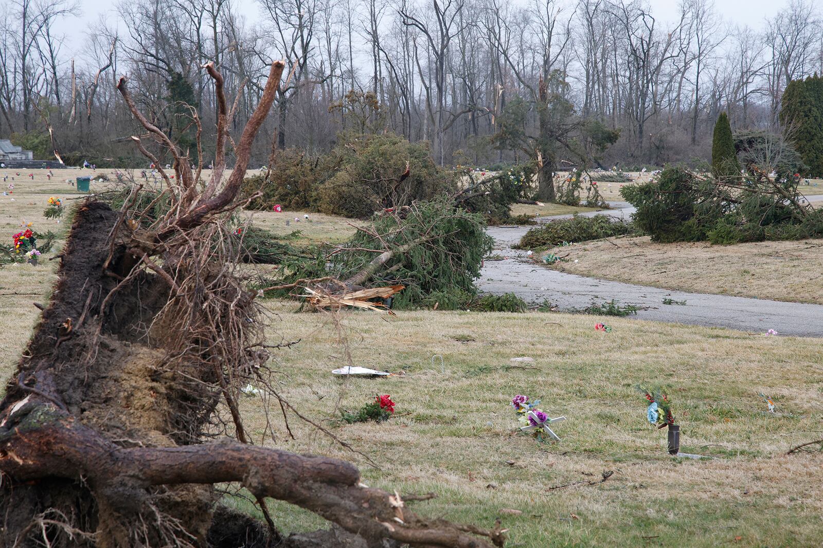 Several trees are toppled over at Rosehill Cemetery along Route 41 after Wednesday's possible tornado. BILL LACKEY/STAFF