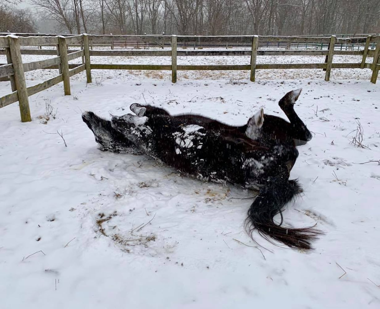 PHOTOS: Snowstorm covers region Saturday