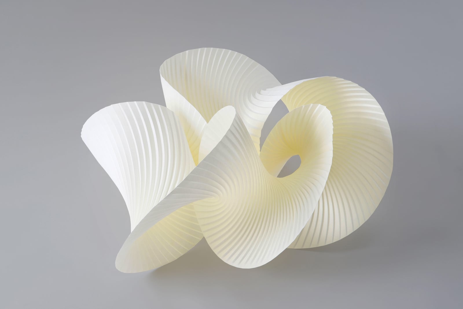 Yuko Nishimura, Continuous Form, 2020, Kyokushi paper, Image courtesy of the artist, Photo by Yosuke Otomo, © Yuko Nishimura and Yosuke Otomo