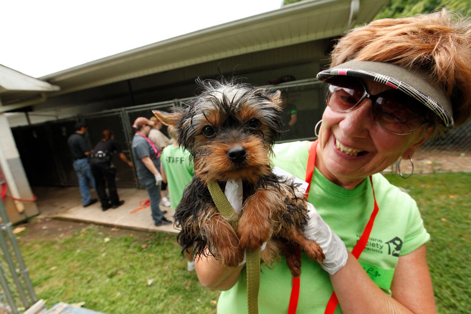 News hounds (6/19/2014)