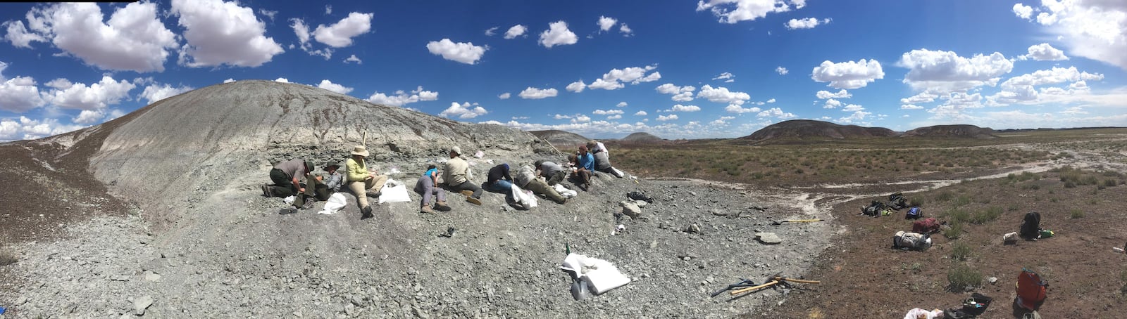 Paleontologists from Petrified Forest National Park and Virginia Tech digging for fossils at the Thunderstorm Ridge site where Funcusvermis gilmorei was discovered. PHOTO BY BEN KLIGMAN