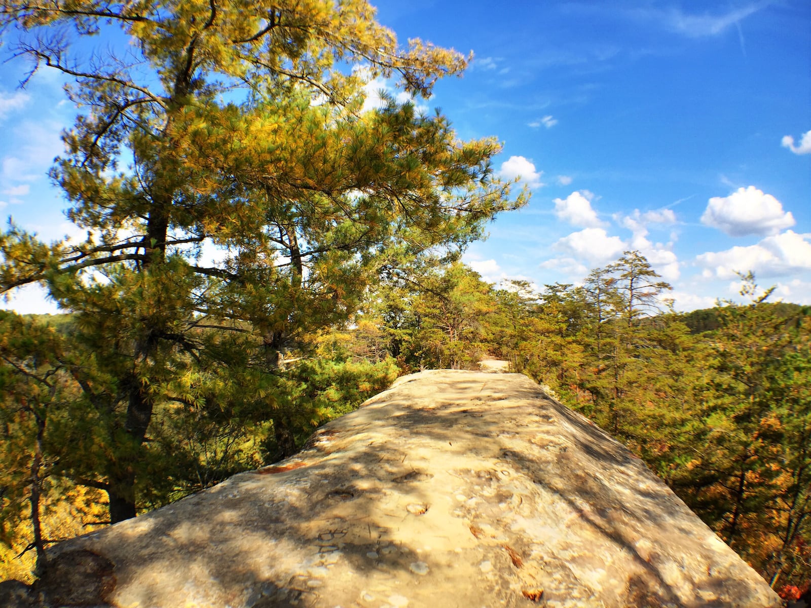 The Sky Bridge is the most magnificent of more than 100 natural sandstone arches in the Red River Gorge inside Daniel Boone National Forest in Kentucky.