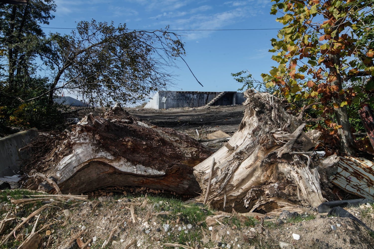 Businesses, parks face huge toll to recover from tornado damage