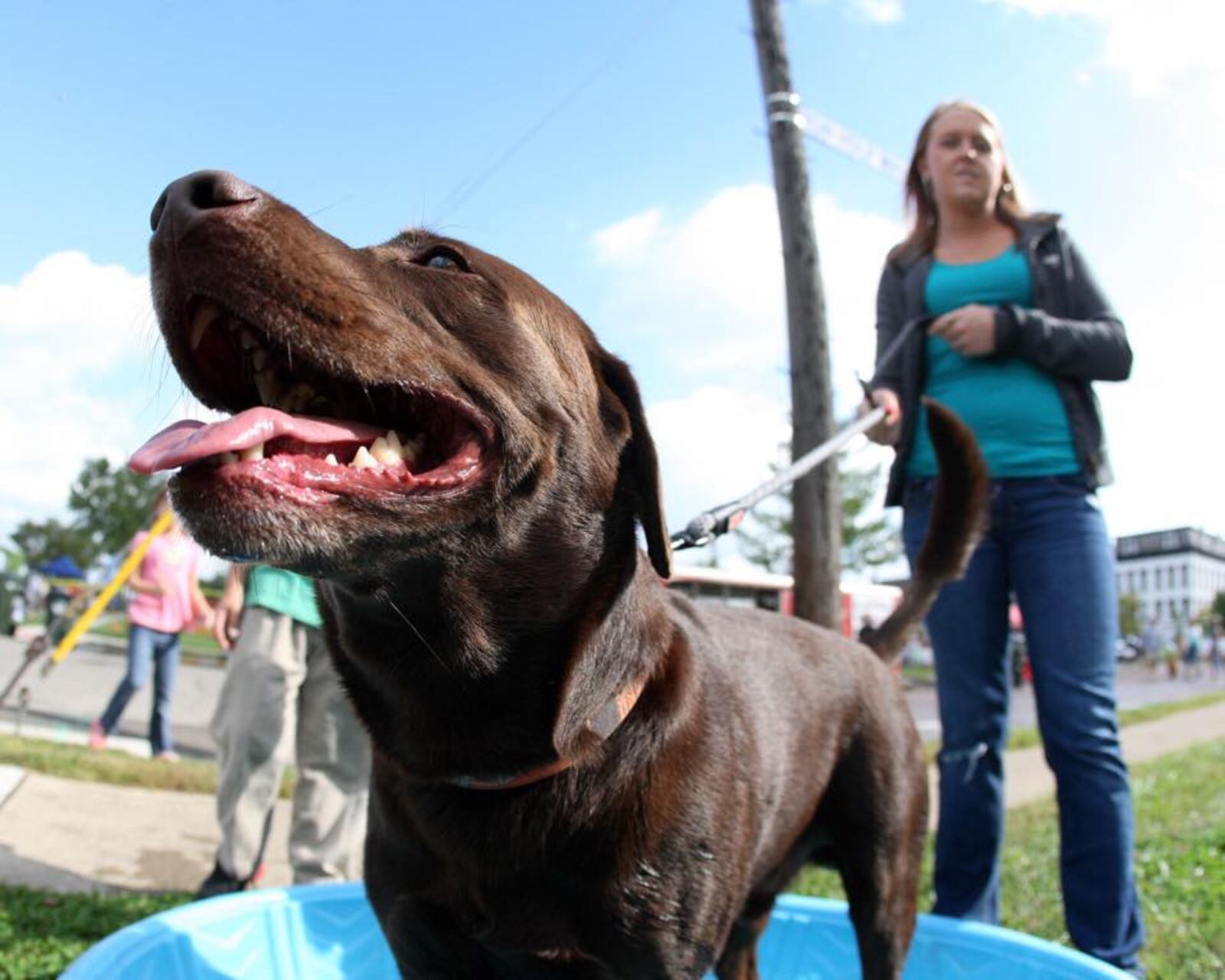 Bark in the Burg at Community Park in Miamisburg will be held June 17. FILE