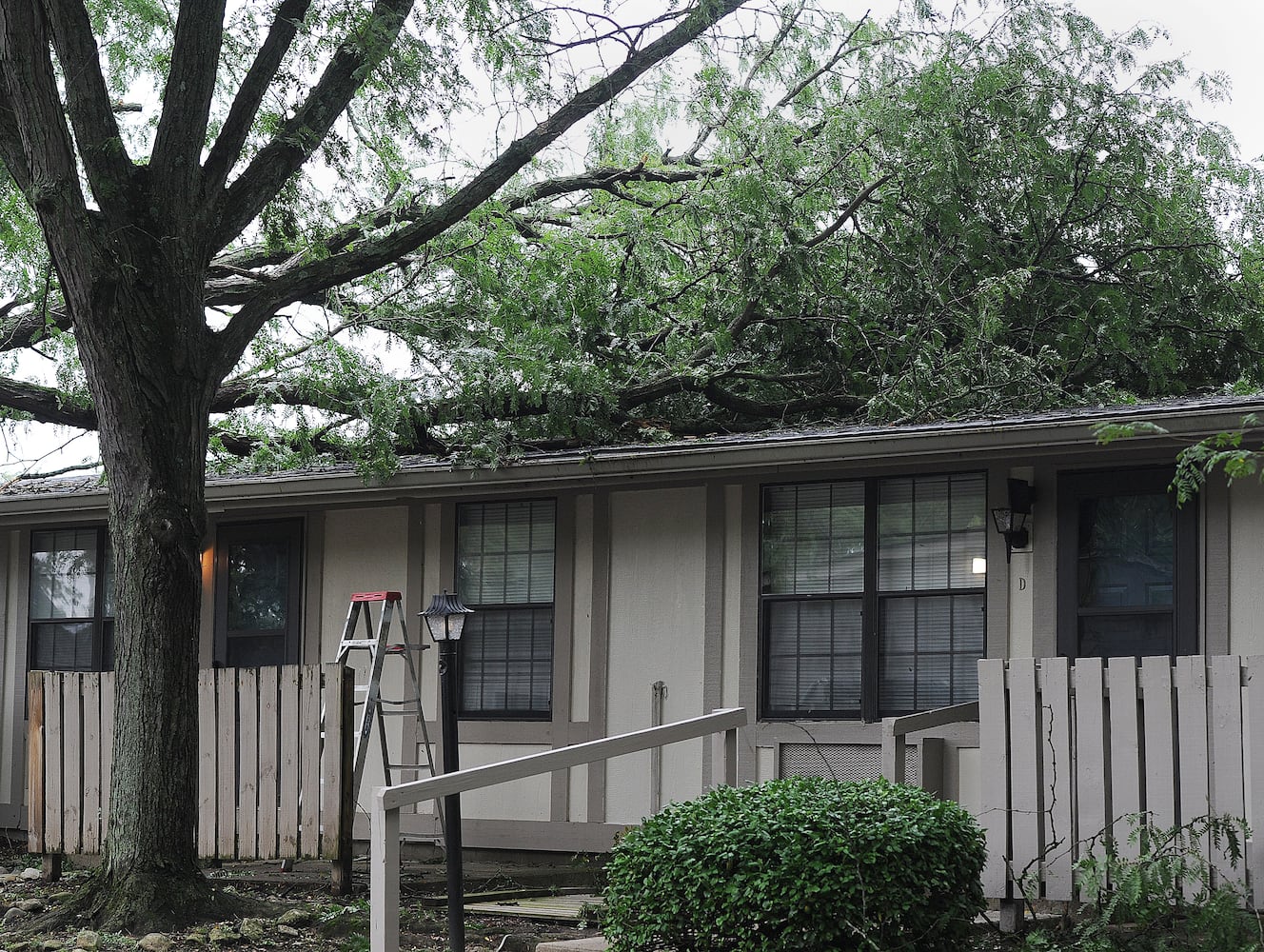 Storm damage