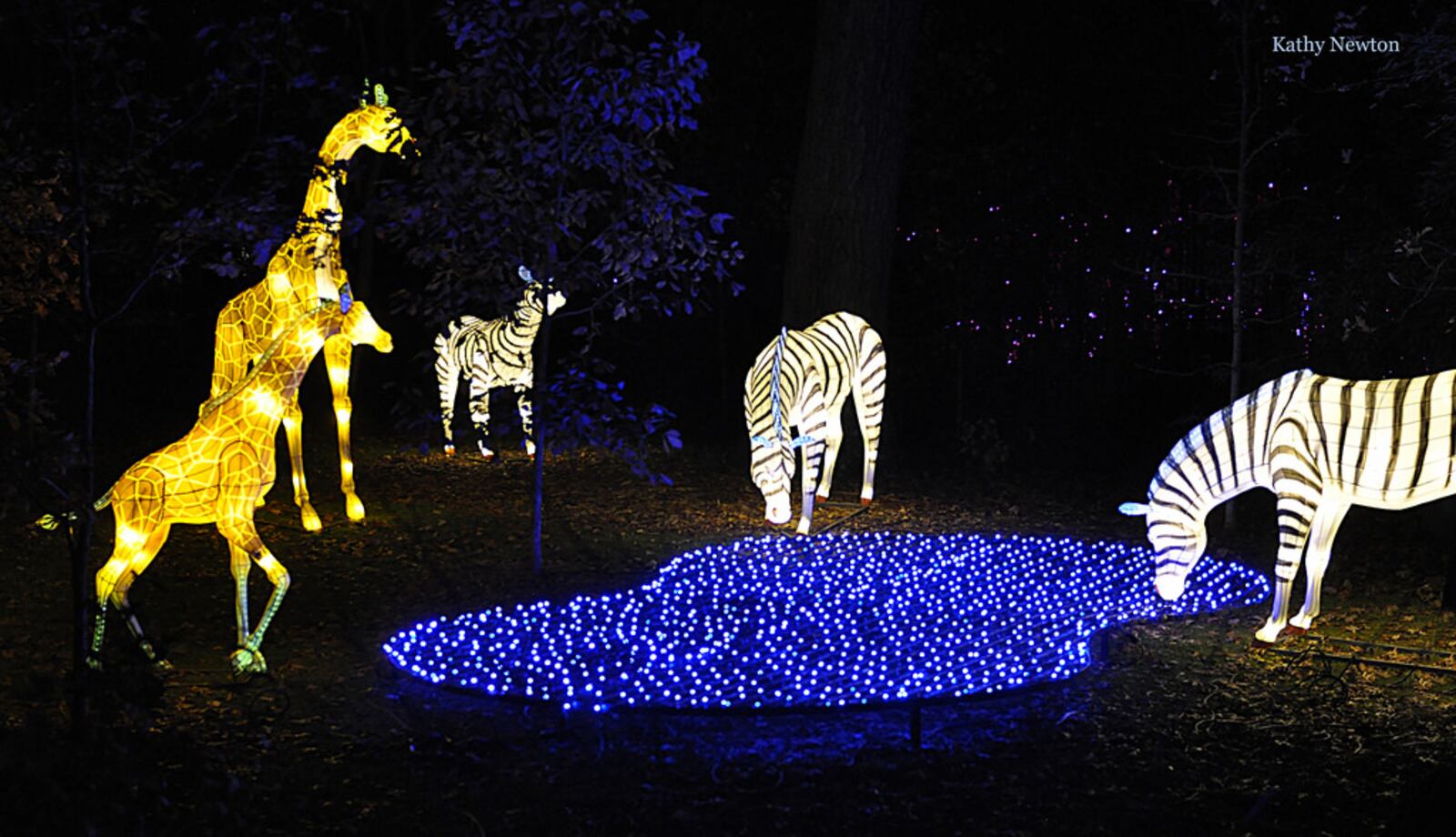 The PNC Festival of Lights begins Nov. 17 and runs through Jan. 1, 2019. CONTRIBUTED