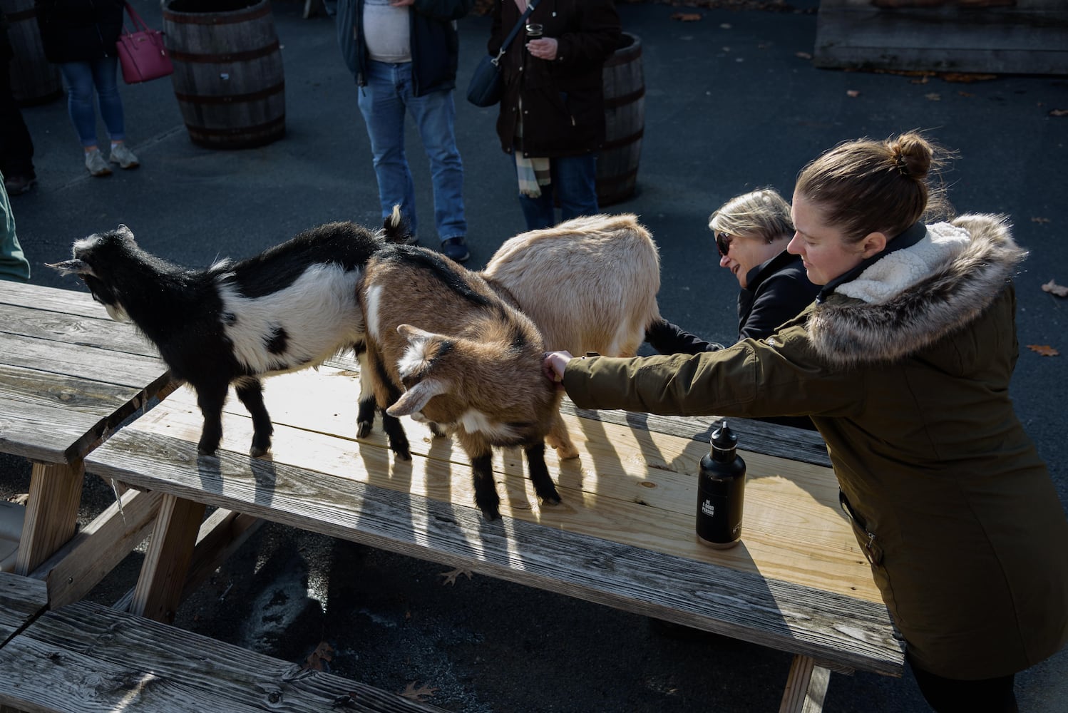 PHOTOS: Did we spot you frolicking with the cutest kids at Dayton Beer Company’s GoatFest?