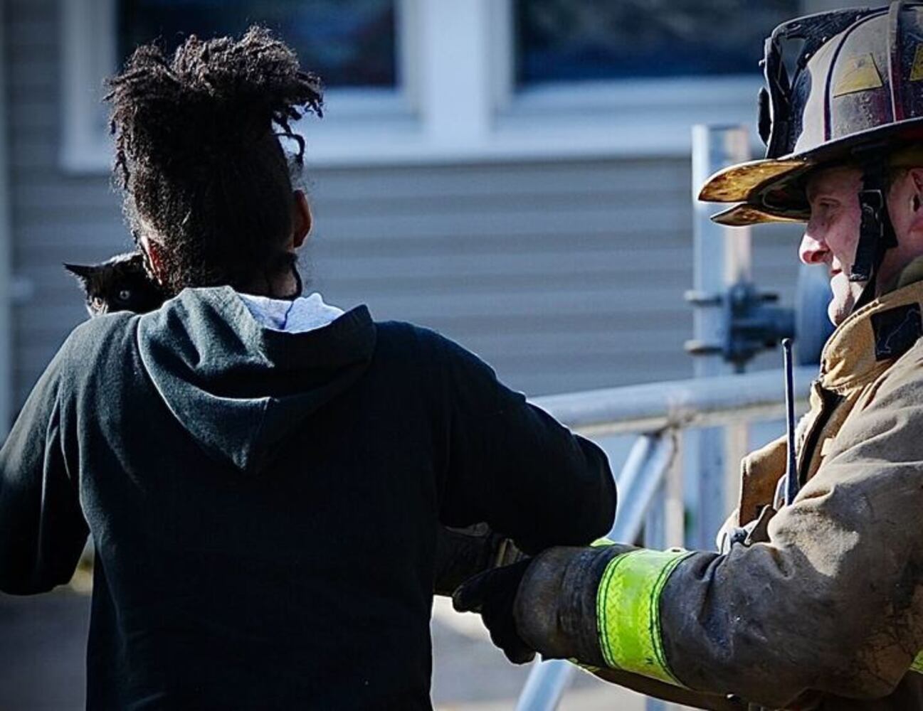 PHOTOS: Cats rescued from Dayton apartment fire