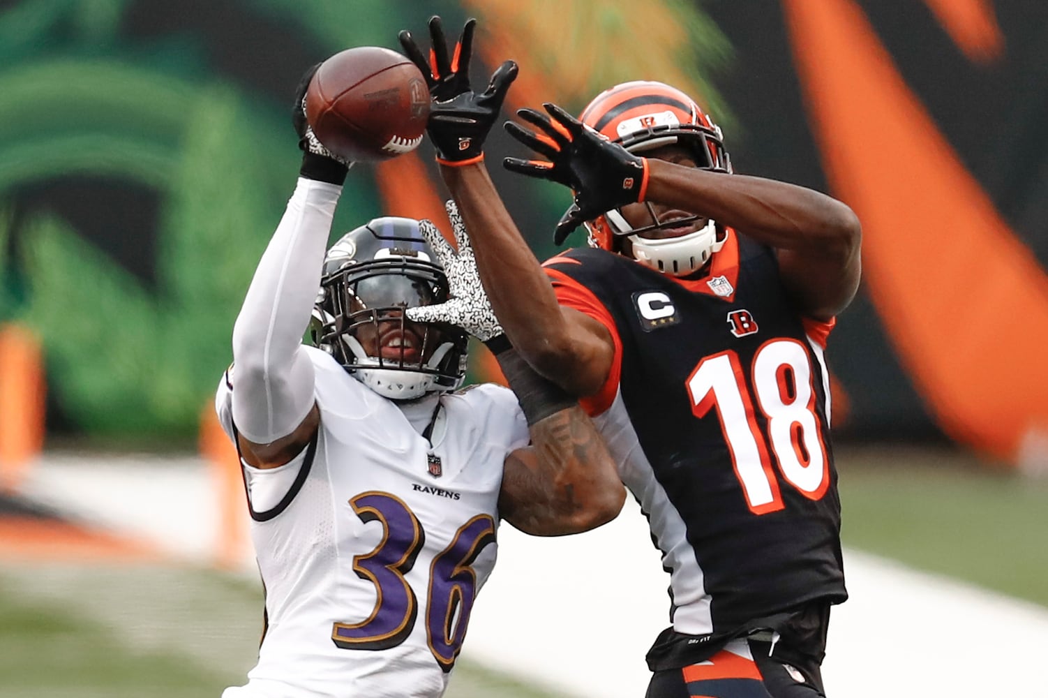 APTOPIX Ravens Bengals Football