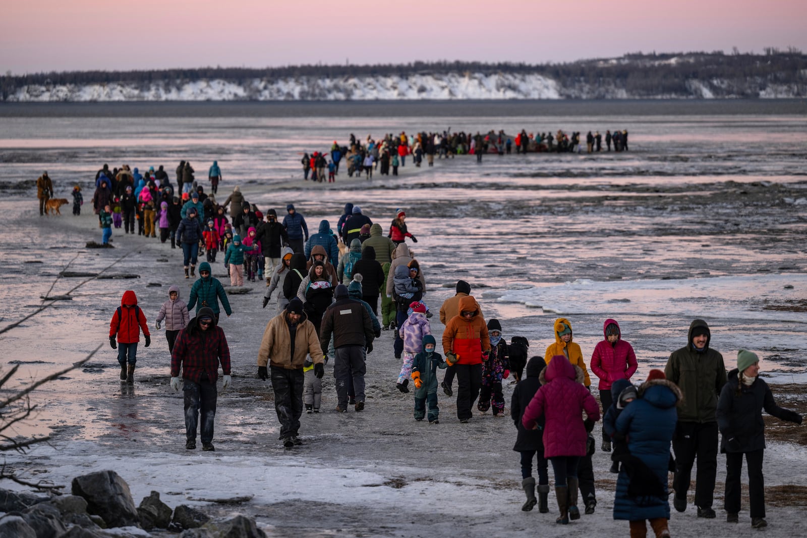 People cross the mudflats to see the carcass of a fin whale that recently came to rest there, Monday, Nov. 18, 2024, near Anchorage, Ala. (Marc Lester/Anchorage Daily News via AP)